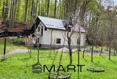 Casa de vacanta pe valea Avrigului - 5