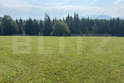 Vanzare teren intravilan de 2 hectare, in Pasul Tihu?a - 2