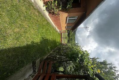 Casă cu 3 camere cu Teren 2200 Mp în Nireș - 11
