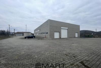 Spatiu industrial  zona Selimbar Sibiu - 2