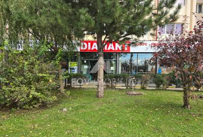 Spatiu Comercial Otopeni la Dn1, trafic pietonal si auto - 5