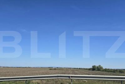 Teren de 16000 mp, în Sud