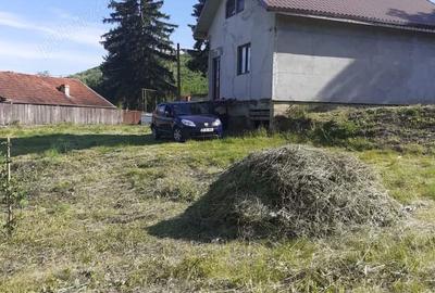 Casă cu 3 camere cu Teren 1860 Mp în Voluntari - 2