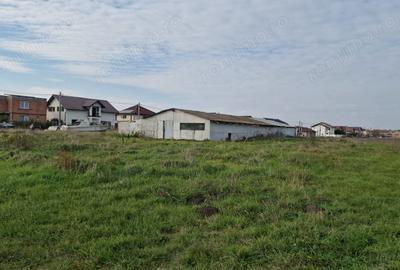 Teren de 10000 mp, în Sânandrei - 2