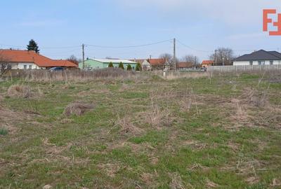 Teren Construcții intravilan de 798 mp, în Peciu Nou - 6