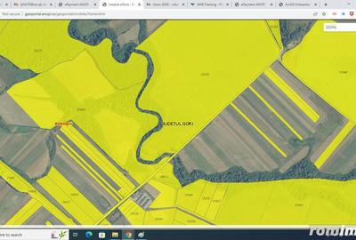 Teren de 500000 mp, în Borăscu - 8