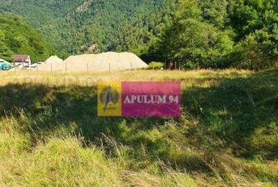 Teren Jude?ul Valcea - Brezoi, Valea lui Stan - 2
