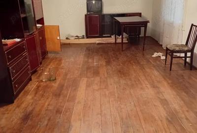 Se vinde casa in Tudor Vladimirescu - 2