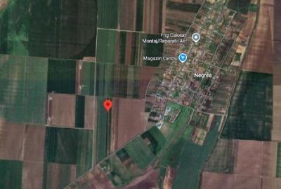 Teren de 9000 mp, în Schela - 10