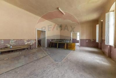 Casă cu Teren 24487 Mp în Păuliș - 18