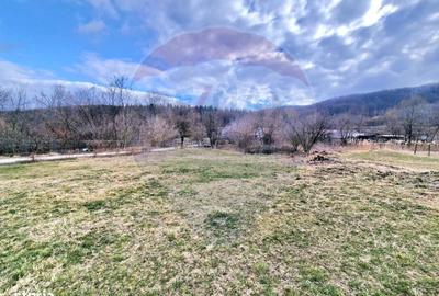 Spațiu comercial, în Luncani - 6