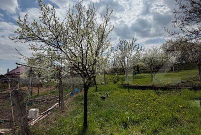 Casă cu 2 camere în Copăceni - 5