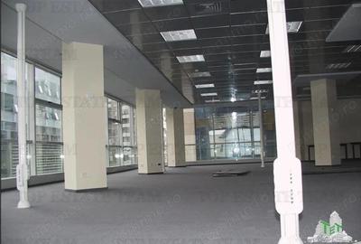 Spatiu de Birouri de 130 mp la Parter in Zona Piata Victoriei - 6