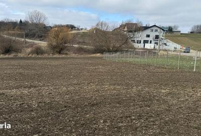 Teren de 903 mp, în Aroneanu