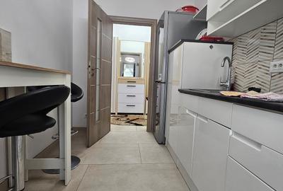 Apartament cu 2 camere decomandat, mobilat în Lujerului - 9