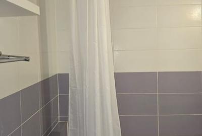 Apartament cu 2 camere semidecomandat în Unirii - 9
