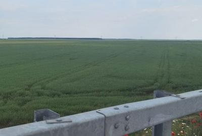 Teren de 21000 mp, în Sălăjan - 3