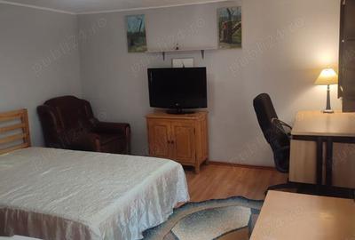 Garsonieră decomandată în Valea Lupului - 2