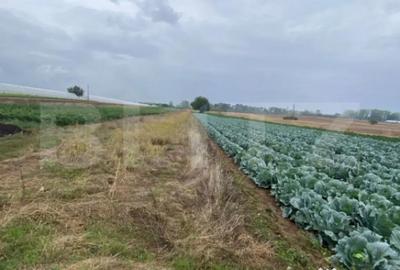 Teren de 4700 mp, în Central