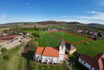 Teren agricol intravilan de 7342 mp, în Alma - 1