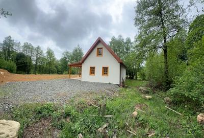 CHIUZBAIA 2CABANE cu teren de aprox. 70ari ! - 7