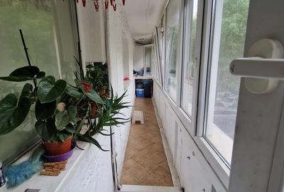 Obor, Teiul Doamnei, Maica Domnului, str. Grigore Ionescu Obor, Teiul Doamnei, Maica Domnului, str. Grigore Ionescu - 12