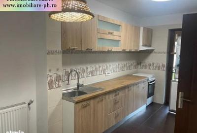 Vila P+1 de inchiriat: Central(str.Valeni) Vila P+1 de inchiriat: Central(str.Valeni) - 8