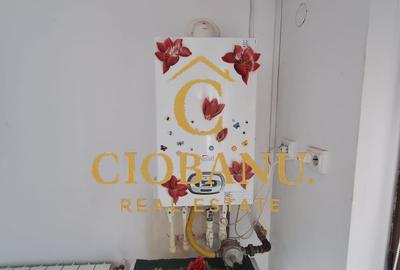 Casa de vanzare zona Campia Islaz - 4