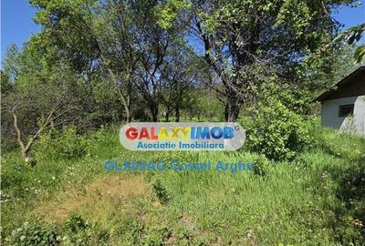 Teren de 3600 mp, în Călinești - 5