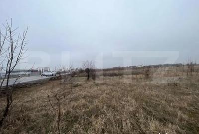 Teren de 50000 mp, în Central - 1