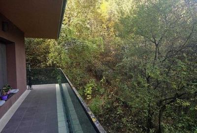 Tampa Gardens, Brasov - 2