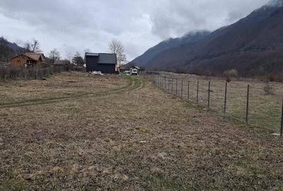 Teren de 1000 mp, în Malaia - 10