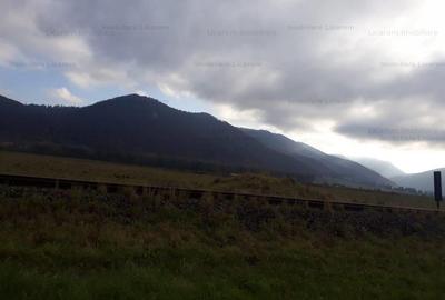 Teren industrial 2000mp DN 73 Soseaua Cristianului Str CUCULUI - 5