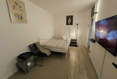 Garsoniera Constantin Brancoveanu - 12