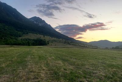 Spațiu comercial, în Plaiul Foii