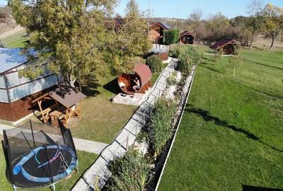 Locatie cu balta de pescuit si cabanute din lemn de vanzare , la 40 km de Timisoara - 14