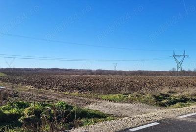 Teren de 10614 mp, în Mareș - 8