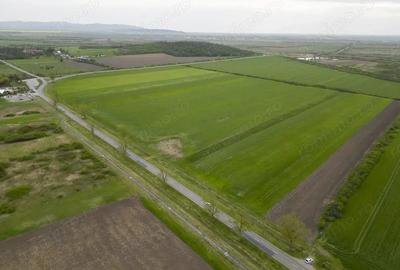 Teren extravilan de 22500mp Zona Ineu - 10