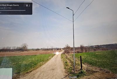 Teren Bolintin Deal 1383mp intravilan deschidere  26m strada Campul nou - 3