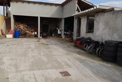 Casă cu Teren 2200 Mp în Ianova - 1