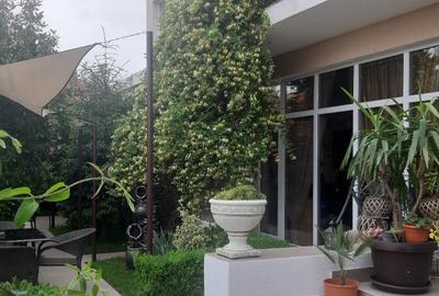 Pensiune in techirghiol - 4