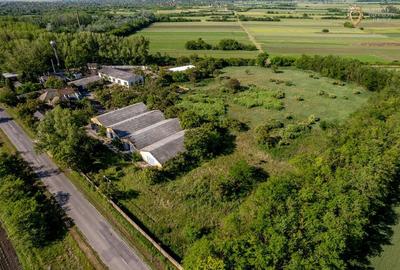 Cladire industriala de vanzare cu potential 3,5 ha in Batania - 23