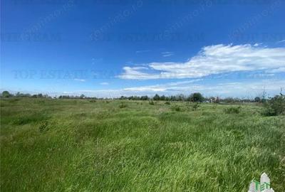 Teren de 23300 mp, în Central