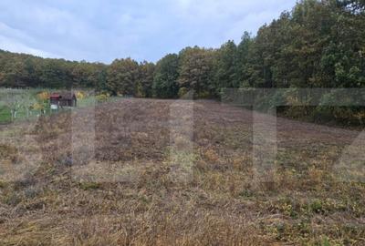 Teren intravilan parcelat - 2882 mp - Sat Bejan - 3