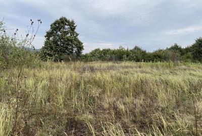 Teren de 3166 mp, în Tileagd - 14