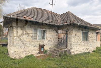 Casă individuală cu 2 camere cu Teren 2200 Mp în Făureni - 3