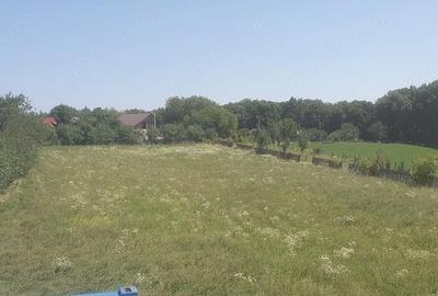 Teren de 5000 mp, în Schitu Hadâmbului - 2