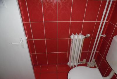Inchiriez apartament cu 1 camere in Deva, Cuza Voda (Enescu), et. 1 - 29
