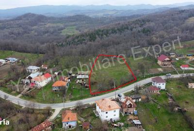 Teren de 2674 mp, în Cepari - 8