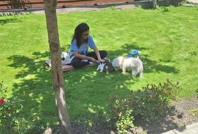 Casă cu 4 camere în Colceag - 5